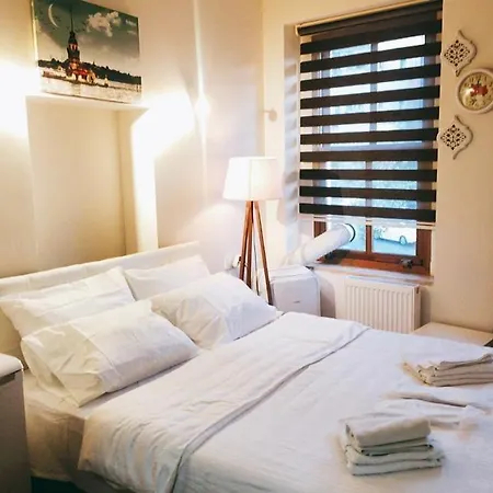 Ariya Yildizli Hotel Provincia di Istanbul